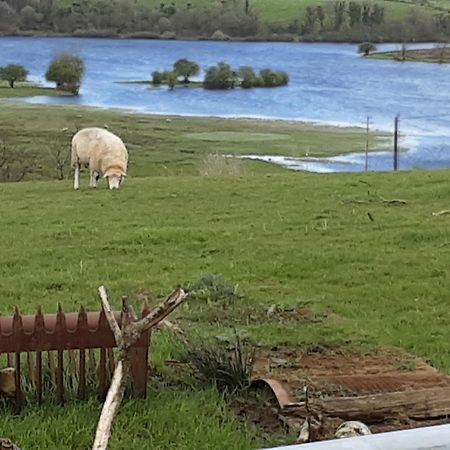 Hawthorn Lodge Belturbet Zewnętrze zdjęcie