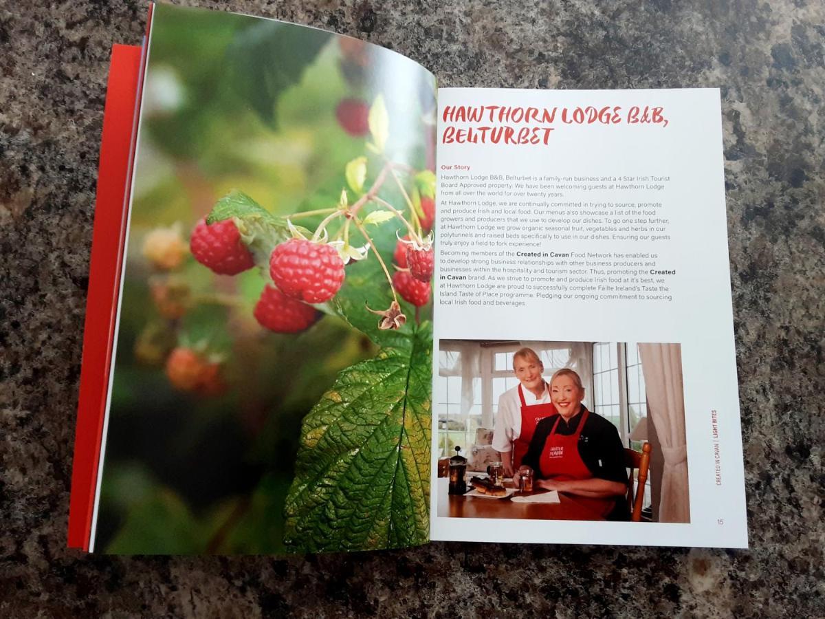 Hawthorn Lodge Belturbet Zewnętrze zdjęcie