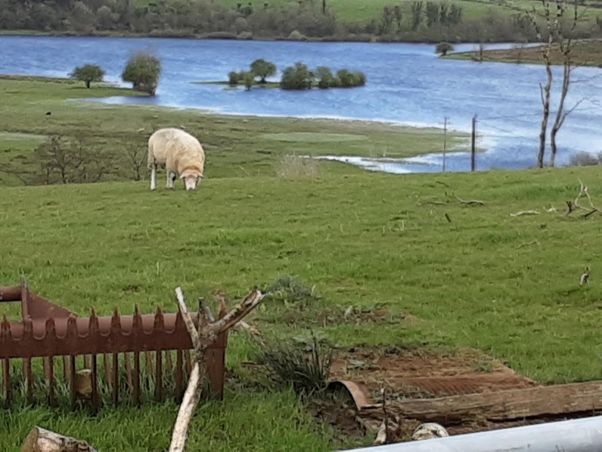 Hawthorn Lodge Belturbet Zewnętrze zdjęcie
