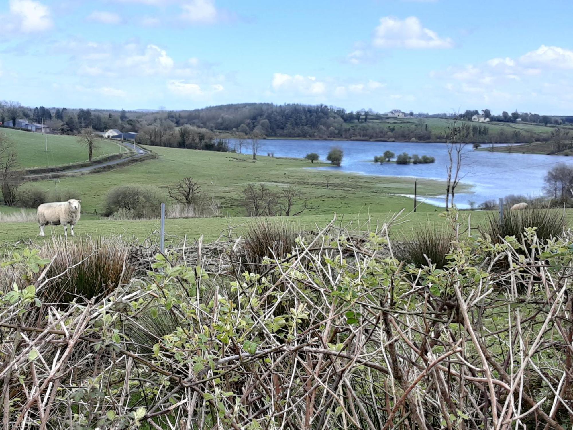Hawthorn Lodge Belturbet Zewnętrze zdjęcie